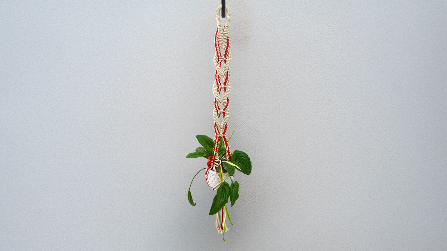 Braided Vertical Planter in Macramé