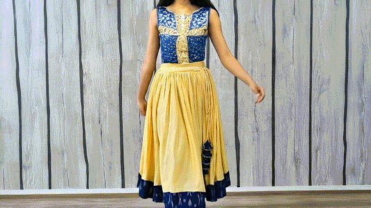 Ghaghra Skirt with Ikkat Border