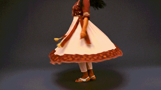 Ghaghra Skirt with Ikkat Border