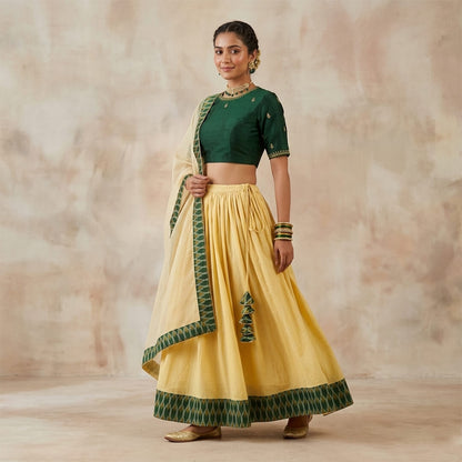 Ghaghra Skirt with Ikkat Border