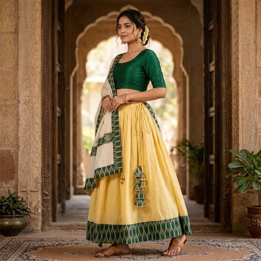 Ghaghra Skirt with Ikkat Border