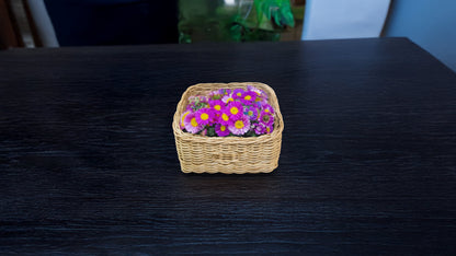 Gola Cane Basket Square