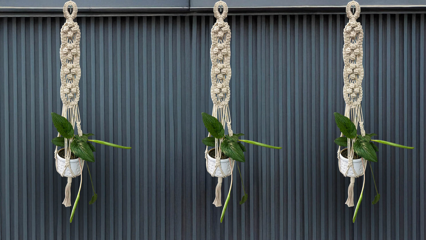 Macrame Planter Four Knots Design