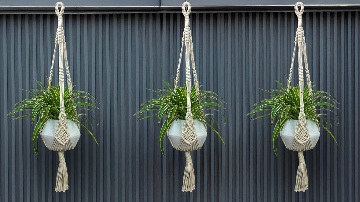 Macrame Planter Upward Loop Design